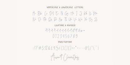 Purify Signature Font Poster 7