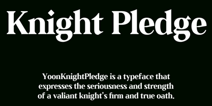 Yoon Knight Pledge Police Poster 3