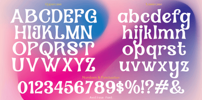 Avolisse Font Poster 4