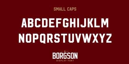 Borgson Font Poster 4