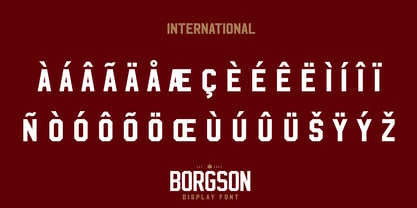 Borgson Font Poster 10