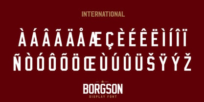 Borgson Font Poster 9