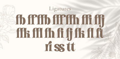 Eleftheria Font Poster 12