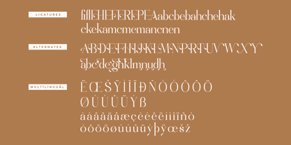 Mangleka Font Poster 8