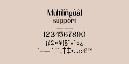 Miollan Font Poster 5