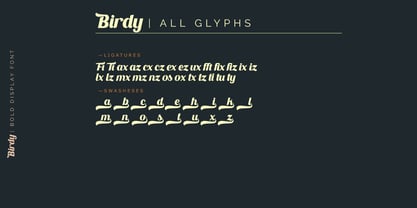 Birdy Font Poster 11