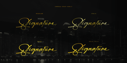 Modern Signature Font Poster 2