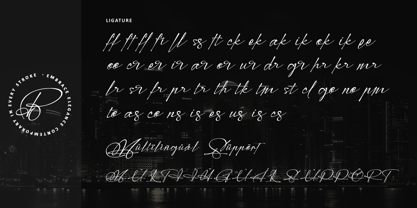 Modern Signature Font Poster 9