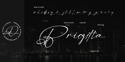 Modern Signature Font Poster 11