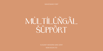 Madhewari Font Poster 10