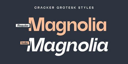 Cracker Grotesk Font Poster 11