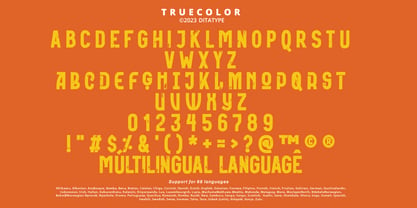 Truecolor Font Poster 9