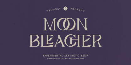 Moon Bleacher Font Poster 1