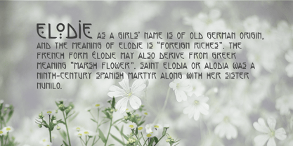 Elodie Font Poster 4