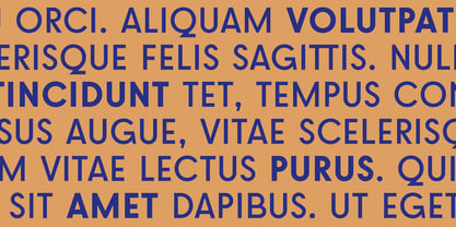 Brosqua Font Poster 7