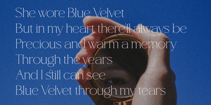 Blue Velvet Font Poster 2