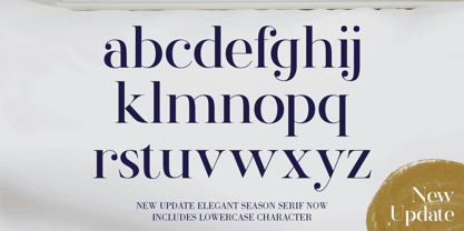 Elegant Season Font Poster 11