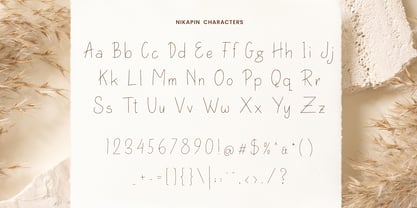 Nikapin Font Poster 3