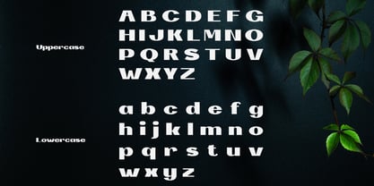 Nombus Koka Font Poster 3