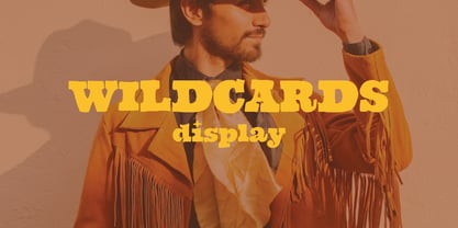 Wildcards Font Poster 1