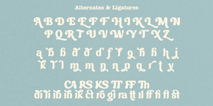 Brown Wager Font Poster 9