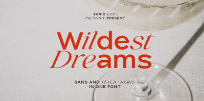 Wildest Dreams Font Poster 1