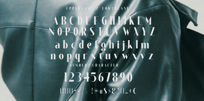 Delonix Regia Font Poster 6