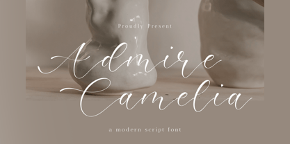Admire Camelia Font Poster 1