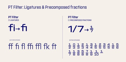 PT Filter Font Poster 5