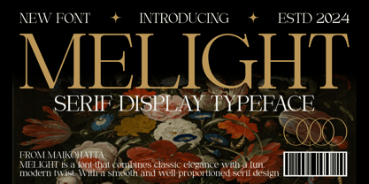 Melight Font Poster 1