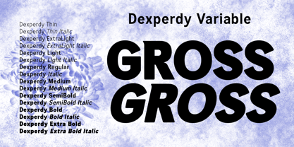 Dexperdy Variable Font Poster 4