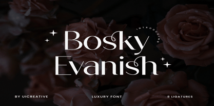 Bosky Evanish Font Poster 1