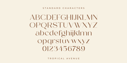 Tropical Avenue Font Poster 14