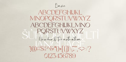 Debora Celina Script Font Poster 5