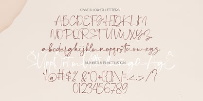 Debora Celina Script Font Poster 6