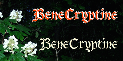 BeneCryptine Font Poster 1