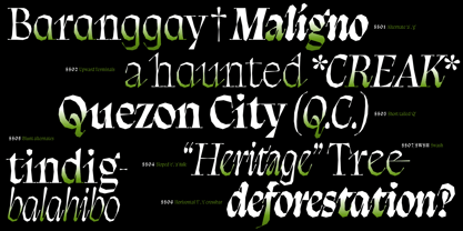 Balete Variable Font Poster 4