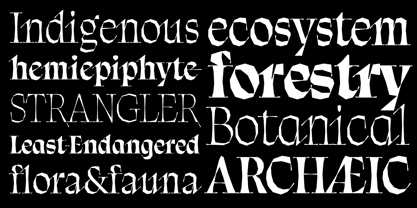 Balete Variable Font Poster 3