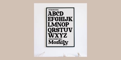 Morally Serif Font Poster 12