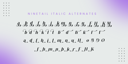 Ninetail Serif Font Poster 13