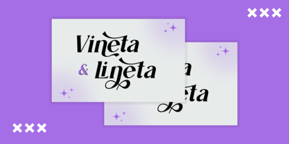 Ninetail Serif Font Poster 6