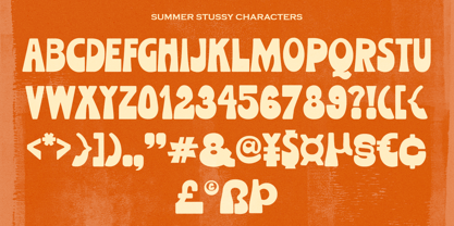 Summer Stussy Font Poster 11