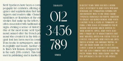 TBJ Palatino Serif Font Poster 7