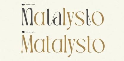 TBJ Palatino Serif Fuente Póster 9