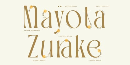 TBJ Palatino Serif Font Poster 2