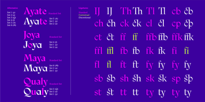 Ciclo Display Font Poster 13