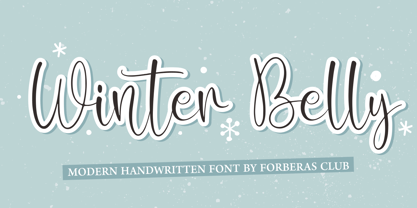 Winter Belly Font Poster 1