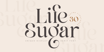 Life Sugar Font Poster 1