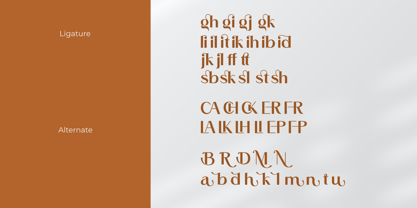 Mulegh Font Poster 11