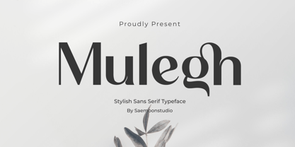 Mulegh Font Poster 1